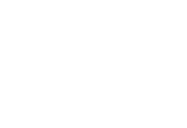 Buffalo Floor Coatings logo